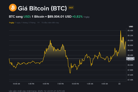 Giá Bitcoin hôm nay 22.12: Chạm 89.000 USD, áp lực bán hạ nhiệt nhưng chưa thể bứt phá
