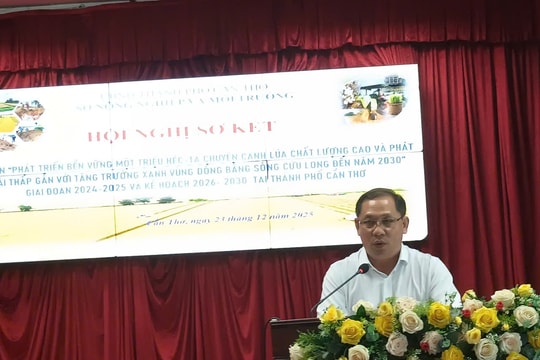 Cần Thơ bứt phá trong mô hình canh tác lúa chất lượng cao, phát thải thấp