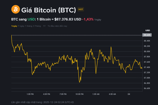 Giá Bitcoin hôm nay 24.12: Dao động quanh 87.000 USD, nguy cơ sụp đổ?