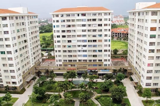 TP.HCM đối thoại gỡ nút thắt cho doanh nghiệp du lịch