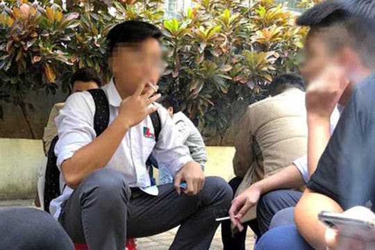TP.HCM giảm tỷ lệ hút thuốc, nhưng vi phạm nơi công cộng còn phổ biến