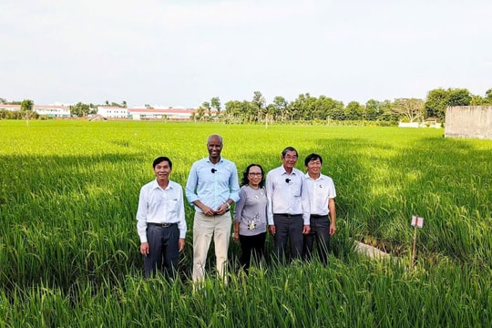 Công nghệ số mở đường cho nông nghiệp Cần Thơ phát triển hiện đại, bền vững