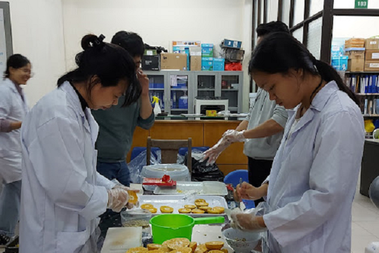 'Siêu ngân sách' 95.000 tỉ: 'Phao cứu sinh' cho công ty công nghệ