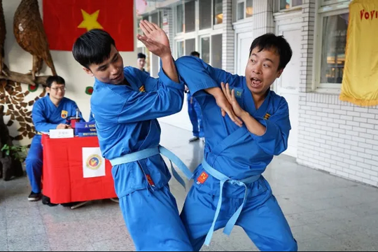 Vovinam - tại sao không phải "MMA" cho người Việt?