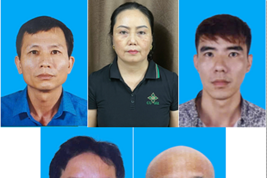 Đồ hộp Hạ Long dùng thịt lợn dịch: Bắt khẩn cấp Tổng Giám đốc