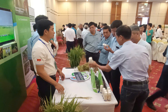 Đề án 06 ở Cần Thơ: Thành tựu khoa học công nghệ và thách thức đặt ra