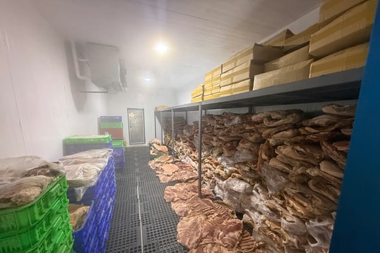 Thêm một đường dây sản xuất, buôn bán thực phẩm giả quy mô lớn tại TP.HCM bị triệt phá