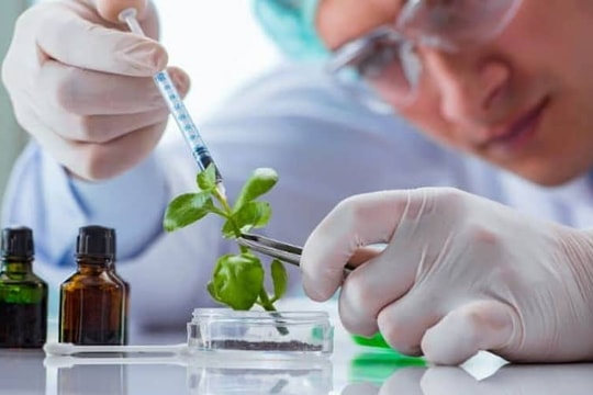 TP.HCM bật đèn xanh công nghệ sinh học, Khu Công nghệ cao nhắm vị thế khu vực