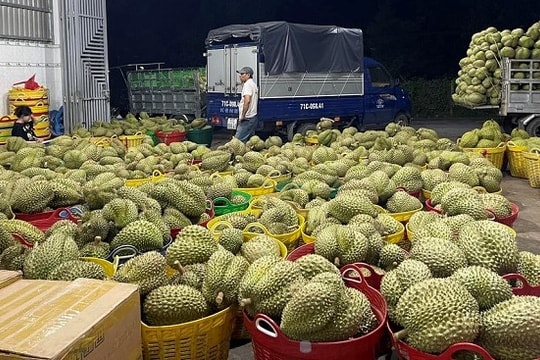 Đưa ĐBSCL trở thành vùng thương hiệu nông sản số