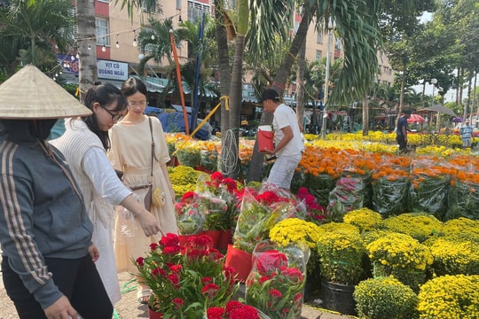 Sắc xuân sớm lan tỏa TP.HCM, làng hoa vào vụ Tết giữa nhiều nỗi lo chi phí
