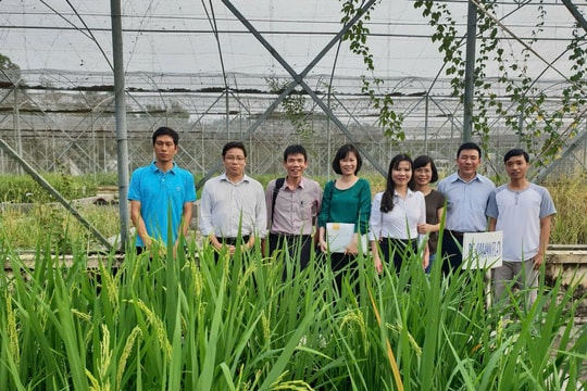 Hợp tác quốc tế nâng sức chống chịu khí hậu, ĐBSCL phát triển bền vững