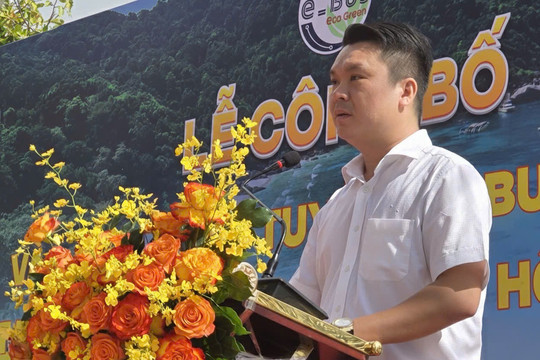 Bài toán kéo người dân lên xe buýt: Xanh thôi chưa đủ, phải dễ đi