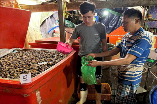 'Thủy tinh lỏng' trong ốc : Vì sao hóa chất công nghiệp không bị phá hủy khi nấu?