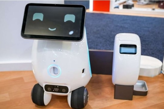 Khi thú cưng có robot AI làm bảo mẫu