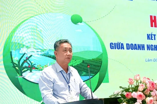 KHCN dẫn dắt ngành dừa Vĩnh Long hướng xuất khẩu tỉ đô bền vững