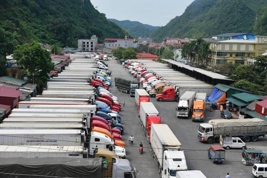 Hàng trăm nghìn tấn nông sản ùn ứ do Nghị định 46, Bộ NN-MT nêu giải pháp
