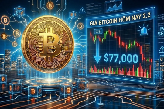 Giá Bitcoin hôm nay 2.2: Giao dịch quanh 77.000 USD, rủi ro tiếp tục giảm sâu hiện hữu