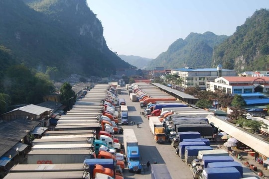 Vướng mắc Nghị định 46: Doanh nghiệp nói nguy cơ vỡ nợ như… thanh gươm treo lơ lửng