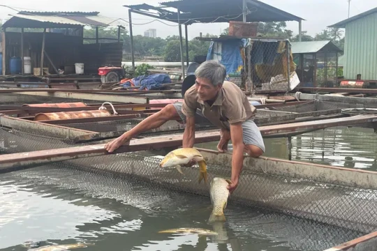 Đồng Nai cấm đánh bắt cá mùa sinh sản