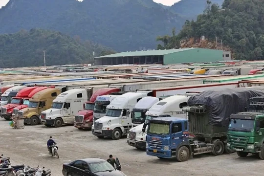 Nghị định 46: Thực tiễn 'không chịu' khớp chính sách