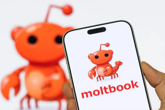 Moltbook - cuộc nổi dậy của những dòng mã