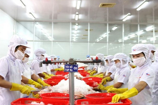 TP.HCM ủy quyền Giám đốc Sở ATTP: Doanh nghiệp được lợi gì từ cải cách thủ tục?