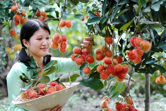 Tính cách con người vùng đất Nam Bộ