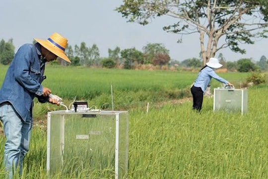 Chuyển đổi số giám sát môi trường giúp nhà nông ĐBSCL canh tác lúa chính xác, bền vững