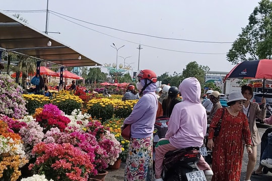 Hoa kiểng Cần Thơ giảm giá mạnh, người mua ùn ùn đổ về chợ hoa Tết
