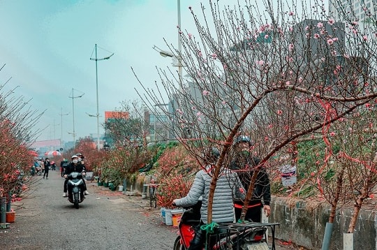 Thời tiết hôm nay 16.2: Miền Bắc đón đợt rét cuối cùng vào ngày mùng 1 Tết