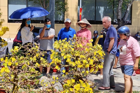 Thị trường Tết 28 tháng Chạp: Thời tiết ‘tàn bạo’ đã ‘tàn phá’ thu nhập của nhà vườn
