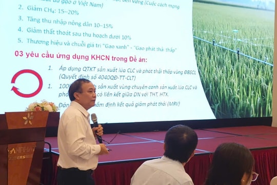 Hạt gạo Việt nâng giá trị nông sản nhờ công nghệ Nhật Bản xanh