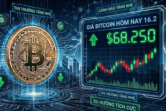 Giá Bitcoin hôm nay 17.2: Làn sóng tích lũy có giúp đẩy Bitcoin trở lại 80.000 USD?