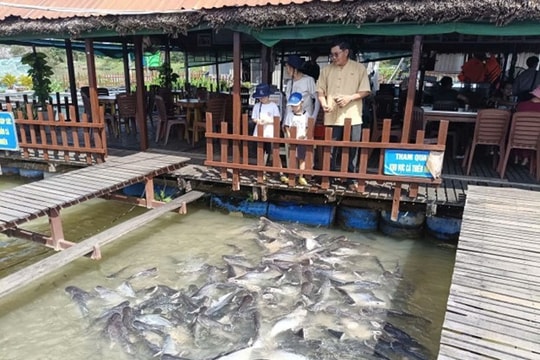 Lý Văn Bon: ‘Tỉ phú’ khát vọng nâng tầm cá nước ngọt trên dòng MeKong