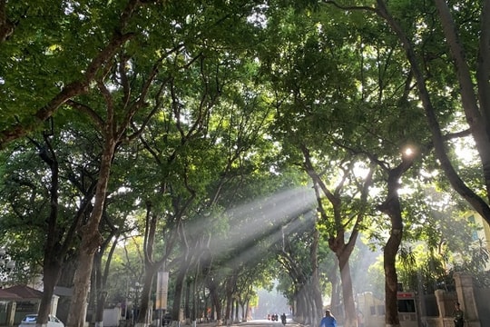 Thời tiết hôm nay 21.2: Miền Bắc duy trì trạng thái 'sáng rét, trưa nắng'