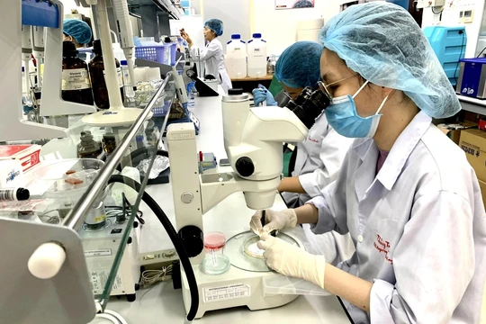 Khoa học Việt Nam có ở 'hàng top' khi soi qua lăng kính thực chất?