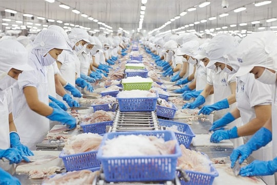 Thủy sản Việt hưởng lợi thế nào từ Thuế đối ứng mới của Mỹ?