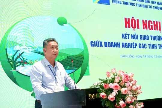 Giảm diện tích và áp dụng khoa học công nghệ với cây cam sành Vĩnh Long