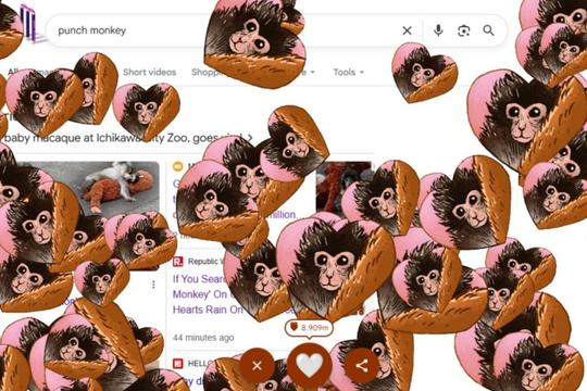 Google ‘thả tim’ cho khỉ Punch trên thanh tìm kiếm chạm cảm xúc người dùng