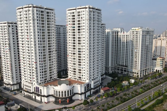 Thí điểm nhà 'vừa túi tiền' người có mức lương 20 triệu, chuyên gia nói gì?