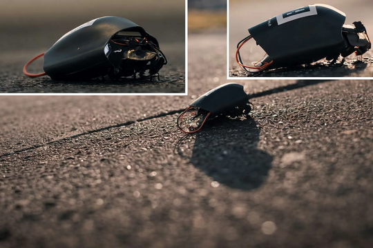 Đội quân ‘robot gián’: Vũ khí giấu mặt của NATO trong các cuộc chiến ngầm nơi đô thị?