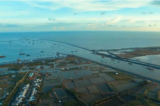 Giải pháp khoa học phục hồi rừng ngập mặn biển Tây