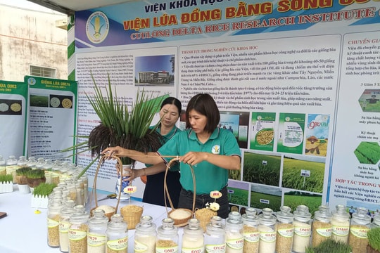 Cần tháo gỡ nút thắt về vốn, hạ tầng và chuỗi liên kết sản xuất