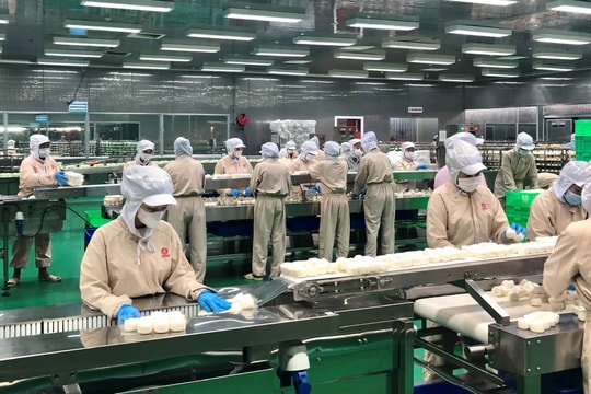 Cử tri TP.HCM nêu loạt trăn trở về việc làm, giáo dục và an sinh xã hội