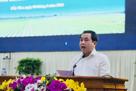 Đề án 1 triệu ha lúa: Bước đi chiến lược tái cấu trúc ngành lúa gạo