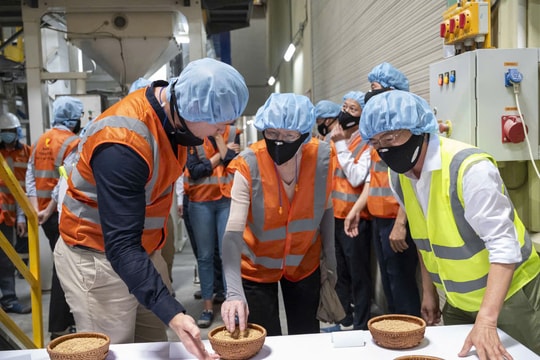 Hợp tác quốc tế thúc đẩy chuỗi giá trị lúa gạo thích ứng biến đổi khí hậu