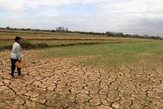 Siêu El Nino 2026: Khi trái đất 'phát sốt', Việt Nam ứng phó thế nào?