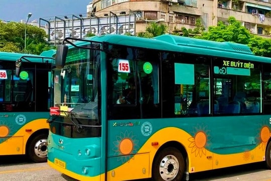 TP.HCM tiết kiệm hàng nghìn tỉ đồng nhờ đấu thầu qua mạng