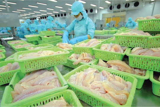 Thủy sản Việt Nam xuất khẩu nhờ đâu mang về hàng chục tỉ USD và duy trì Top 3 toàn cầu?