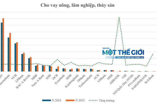 Thấy gì từ Top ngân hàng dẫn đầu cho vay lĩnh vực ưu tiên?